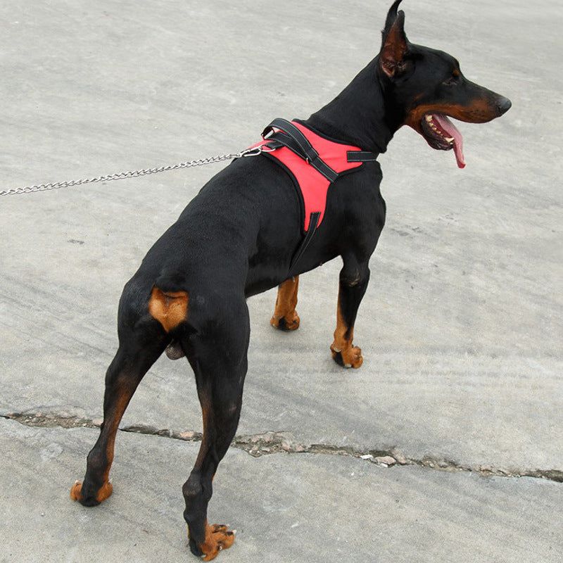 New Arrivals Dog Harness