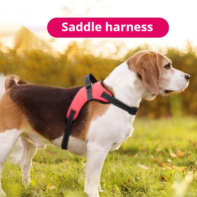 New Arrivals Dog Harness