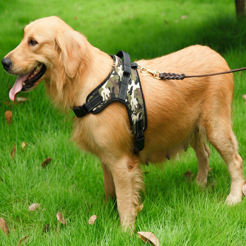 New Arrivals Dog Harness
