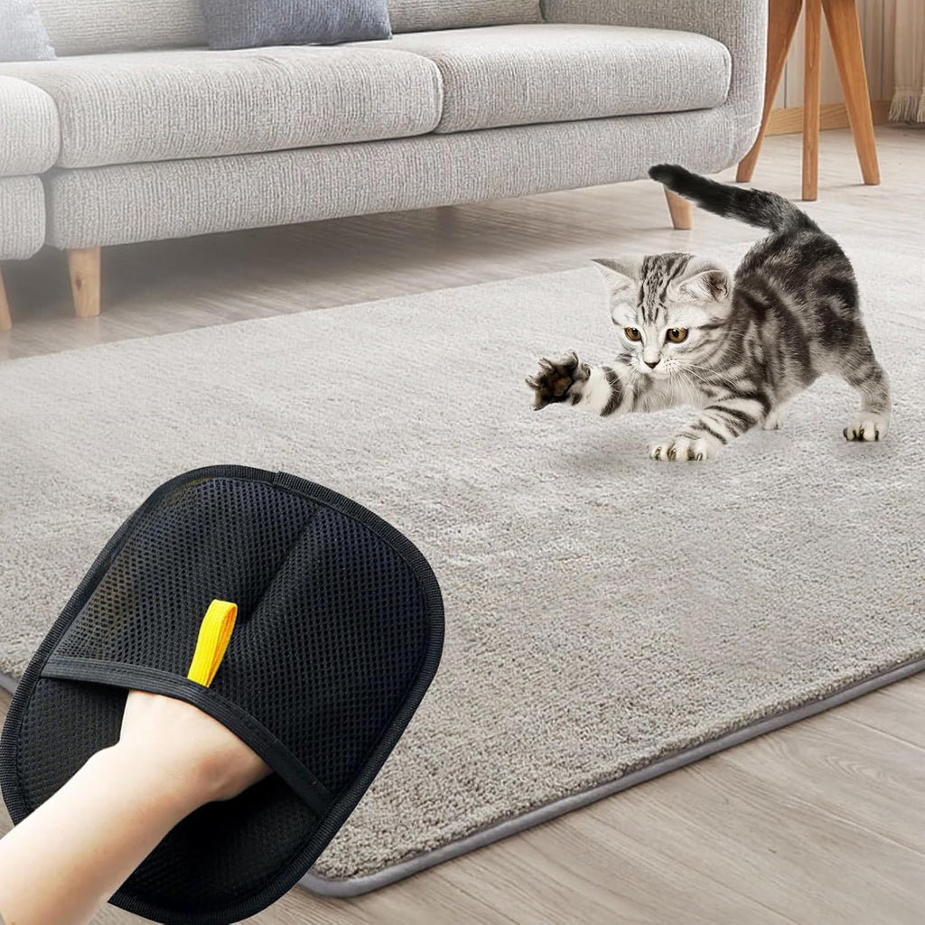 Magic Pet Hair Remover