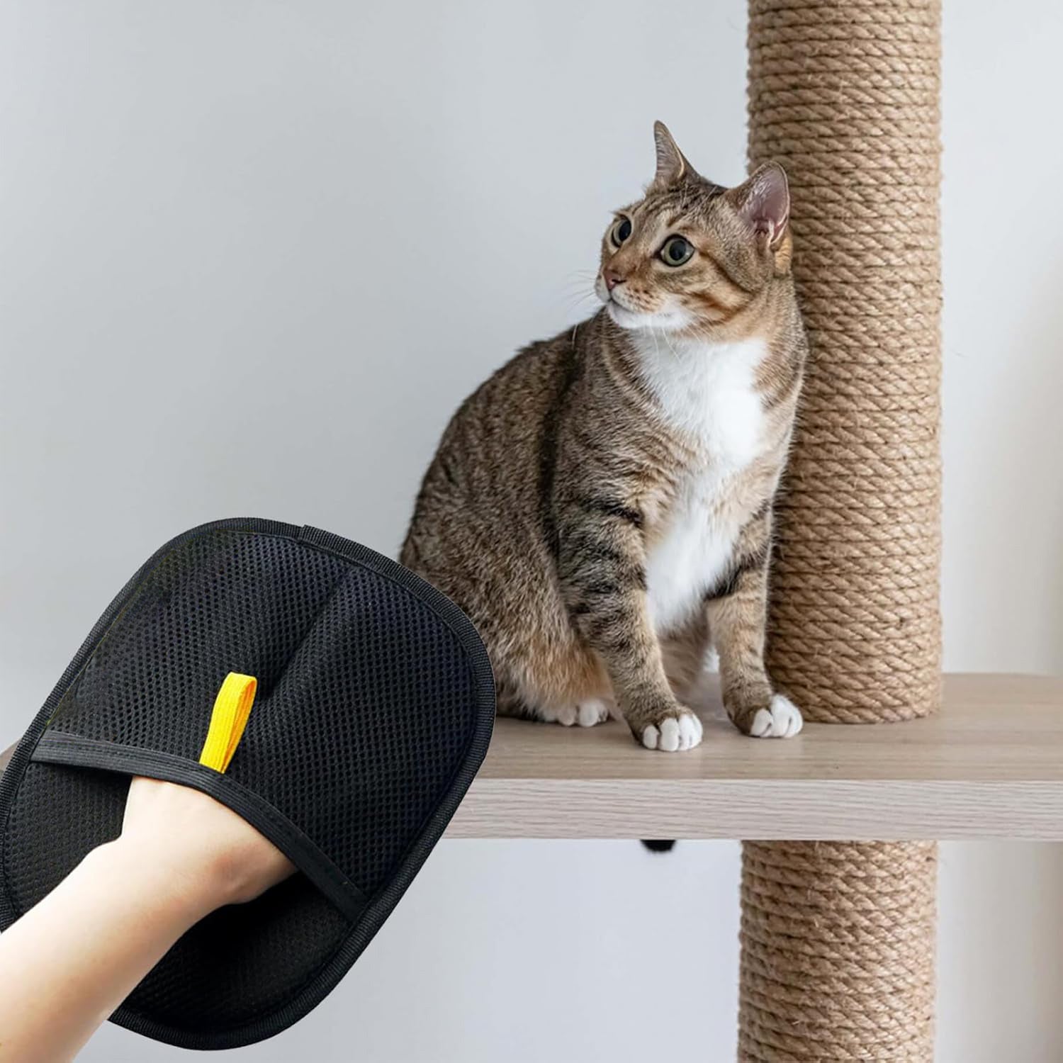 Magic Pet Hair Remover