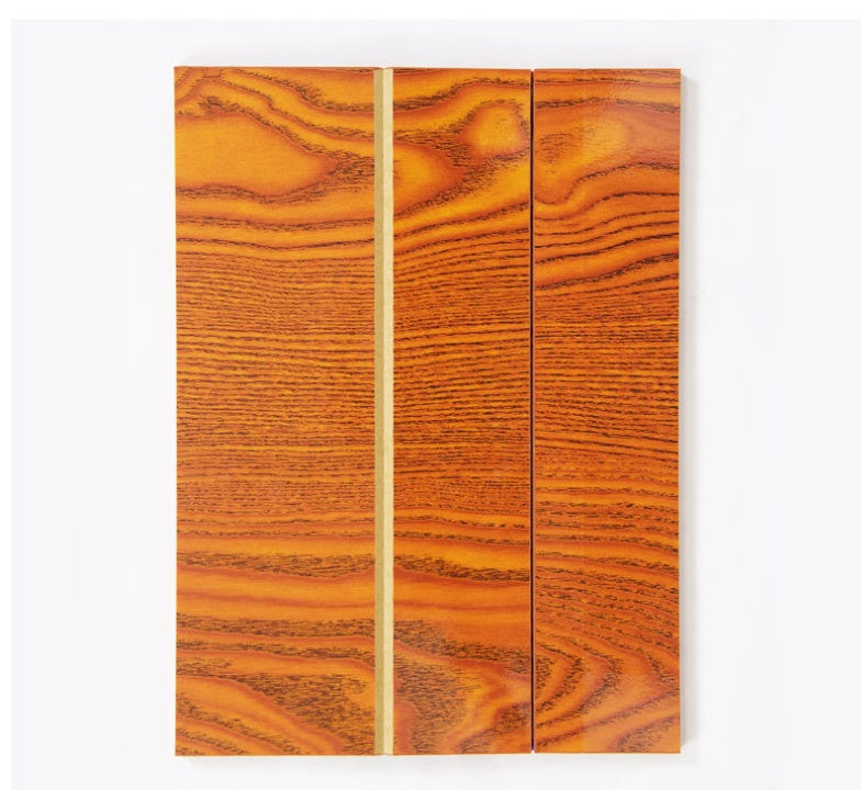 SmartView Ultra-HD Magnifier